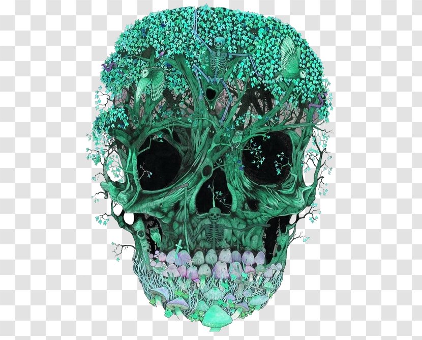 Skull Art Calavera Lysergic Acid Diethylamide Skeleton - Parietal Bone Transparent PNG