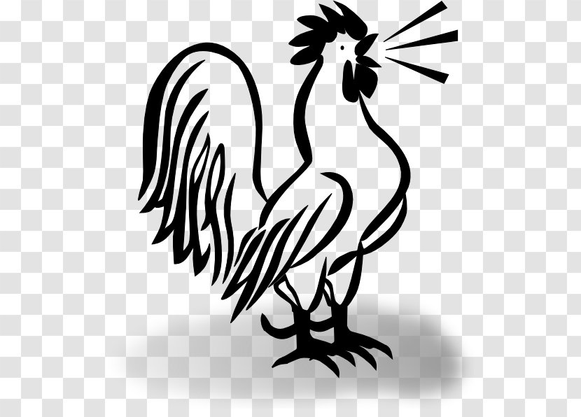 Chicken Zazzle Rooster Clip Art - Beak Transparent PNG