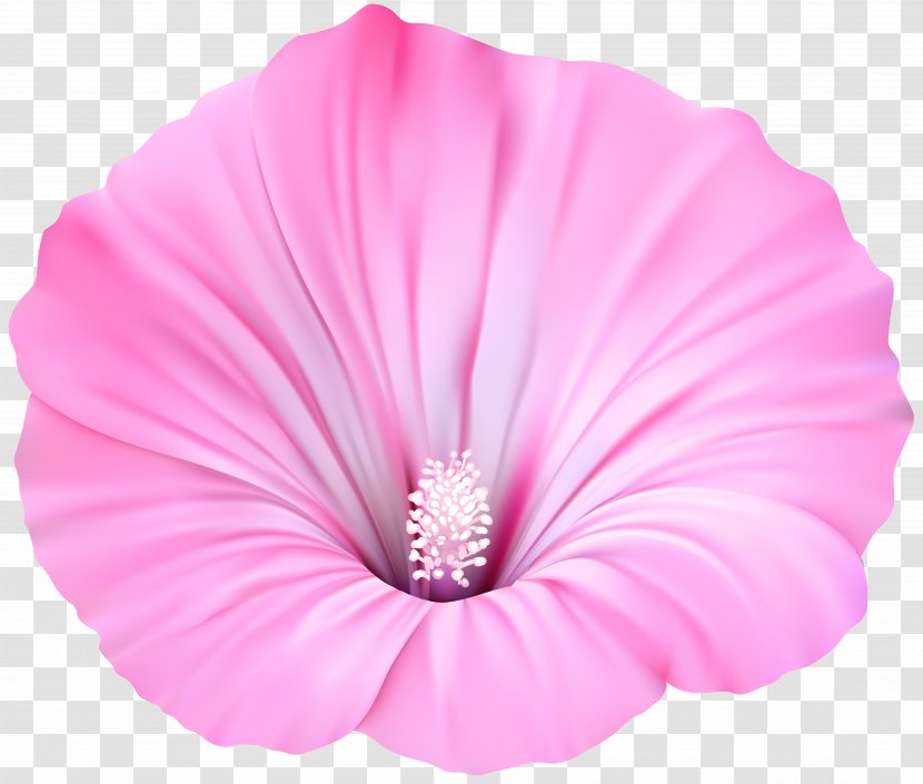 Clip Art Violet Pink Flowers - Green - M Blocks Transparent PNG