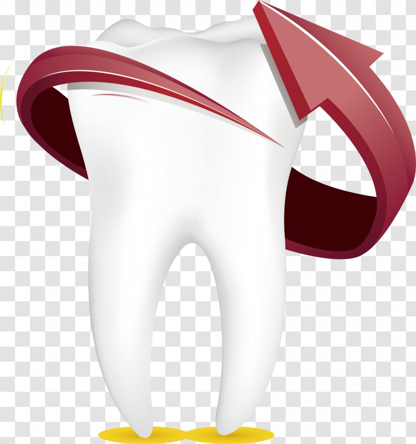 Tooth Euclidean Vector Cartoon - Flower - Protect Teeth Transparent PNG