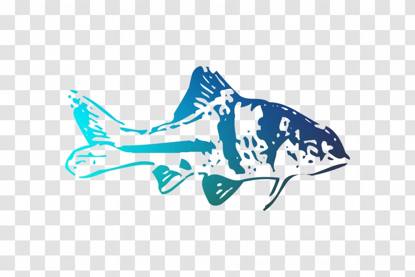 Shark Porpoise Logo Cartilaginous Fishes Illustration - Marlin Transparent PNG