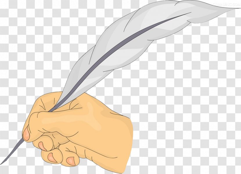 Feather Pen Illustration - Drawing - Holding A Quill Transparent PNG