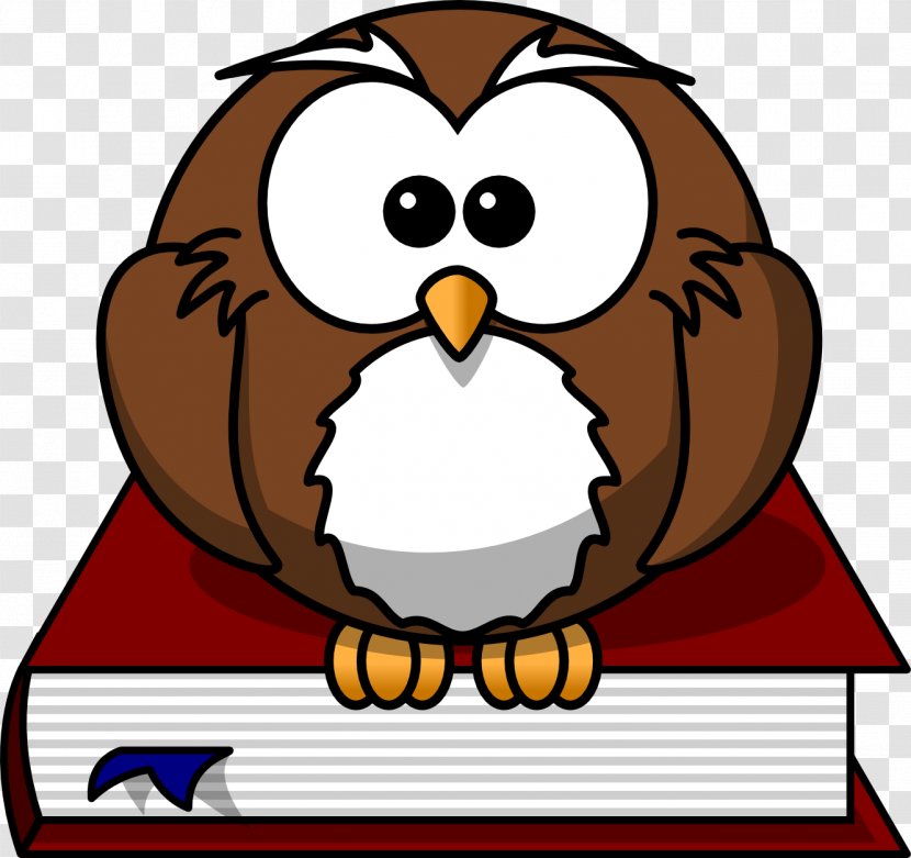 Owl Bird Cartoon Clip Art - Artwork - Free Drawings Transparent PNG