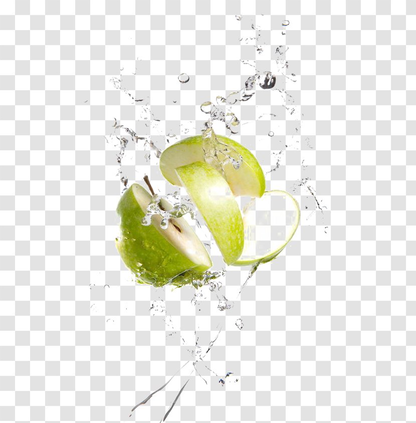 Apple Juice Trifle - Juicer - Green Deductible Elements Transparent PNG
