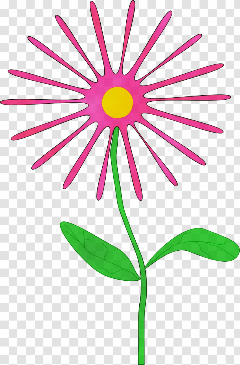 Flower Pink Plant Pedicel Petal Transparent PNG