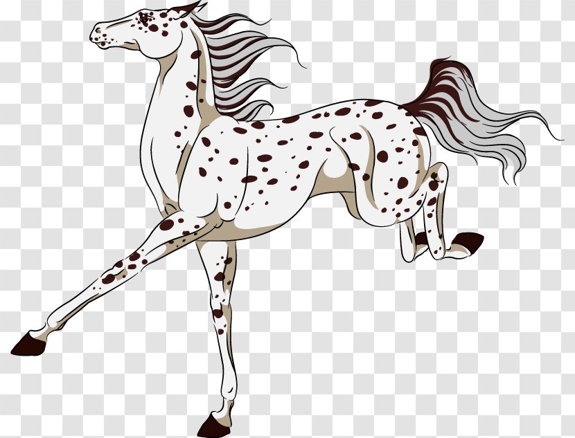 Pony Mustang Canidae American Paint Horse Art Transparent PNG