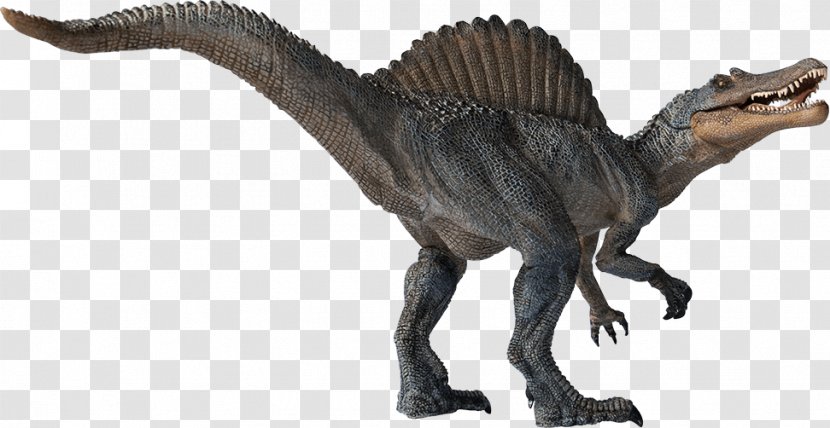 Spinosaurus Velociraptor Tyrannosaurus Dinosaur Theropods - Reptile Transparent PNG