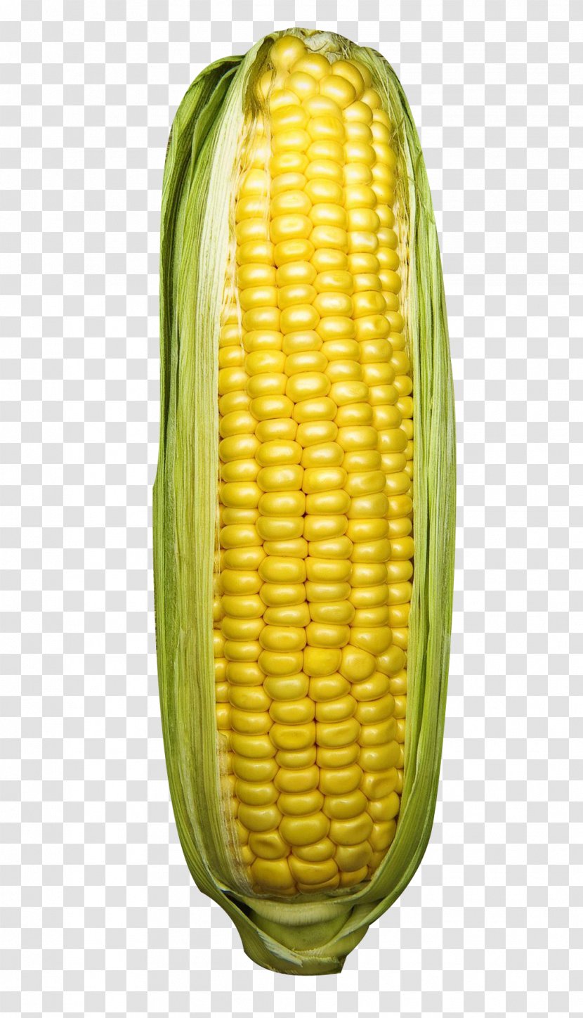 Corn On The Cob Kernel Sweet Commodity Fruit Transparent PNG