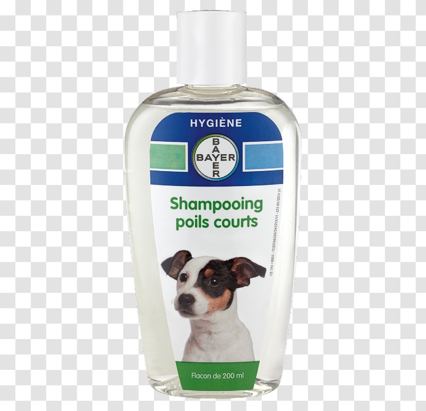 Smooth Collie Jack Russell Terrier Shampoo Lotion Puppy Transparent PNG