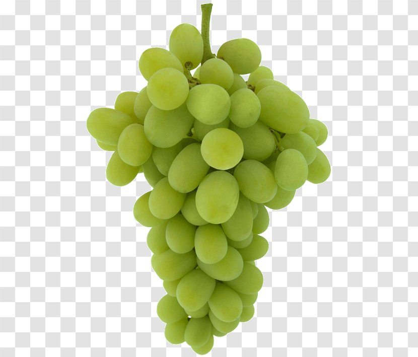 Common Grape Vine Juice Seedless Fruit Table - Verjuice - Green Allogeneic Cancer Cell Transparent PNG