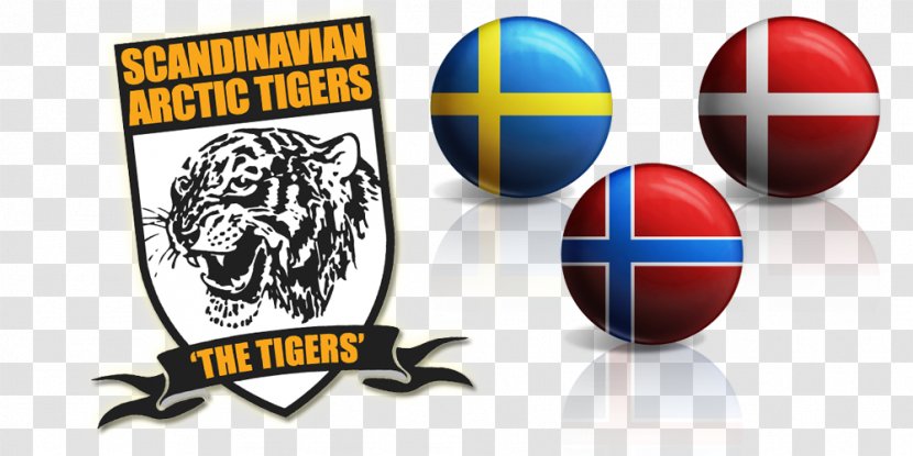 Scandinavia Hull City Tiger .com .nu - Brand - HULL Transparent PNG