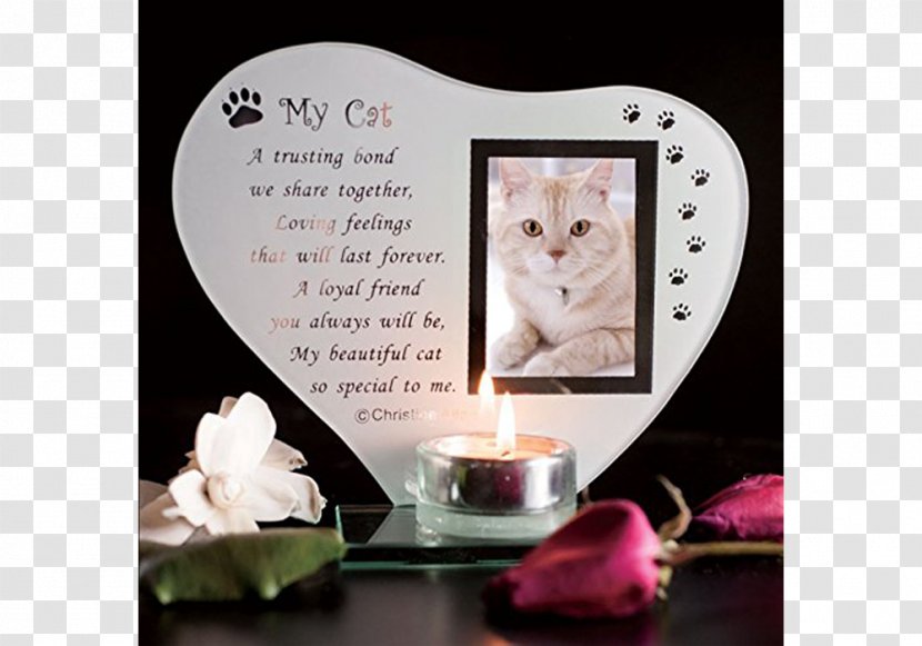 Picture Frames Cat Glass Commemorative Plaque Pet Transparent PNG