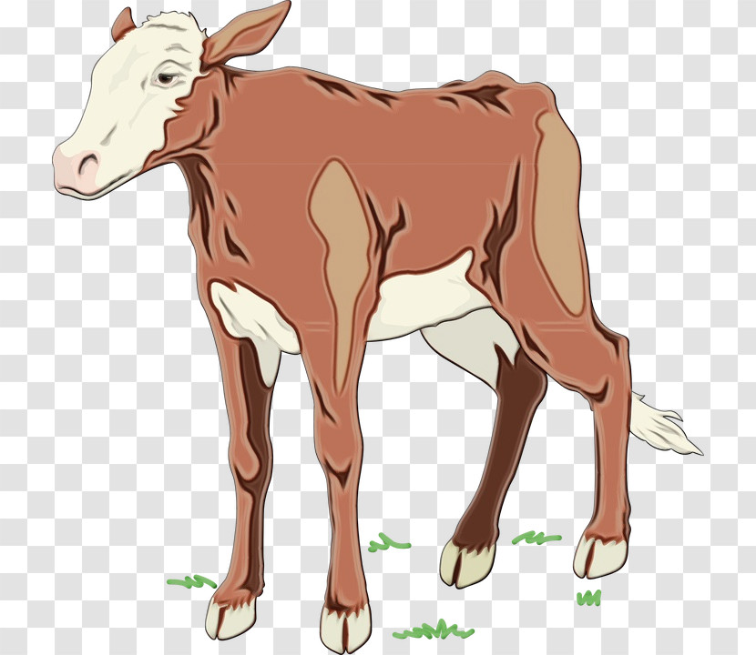 Dairy Cattle Goat Calf Holstein Friesian Cattle Ox Transparent PNG
