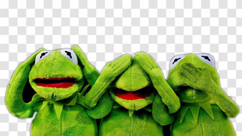 Kermit The Frog Desktop Wallpaper Royalty-free Sales - Retail - 16:9 Transparent PNG