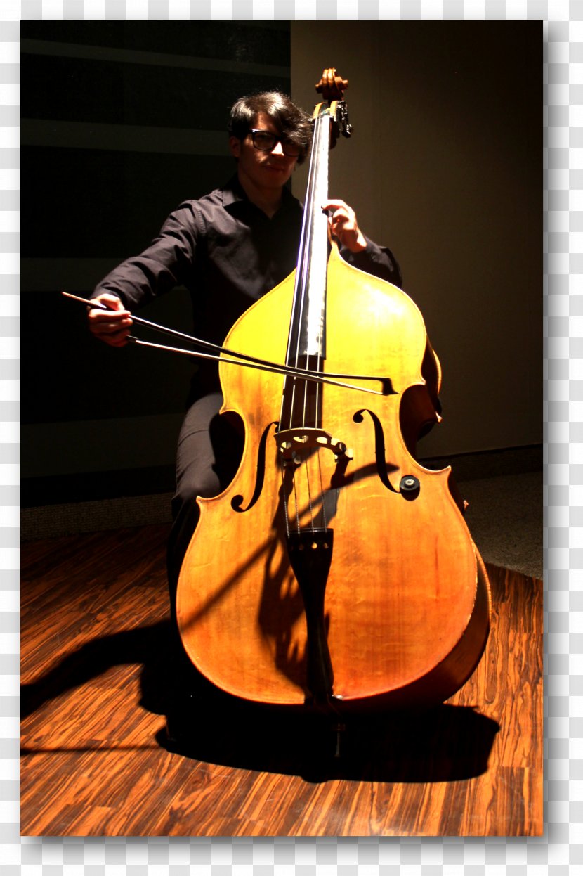 Bass Violin Double Violone Viola Octobass - Cartoon - Piano Performances Transparent PNG