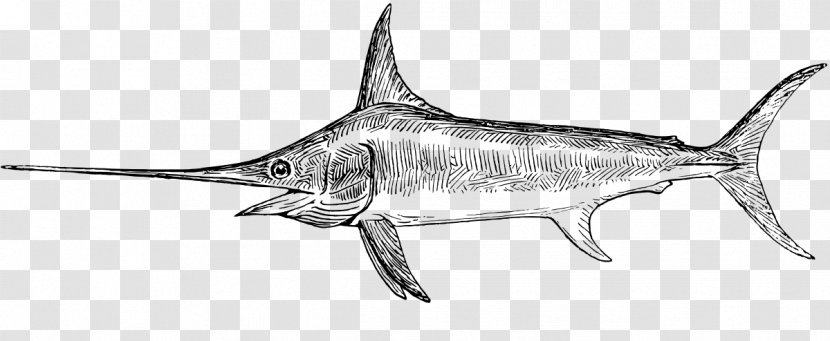 Swordfish Coloring Book Drawing Clip Art - Billfish - Fishing Transparent PNG