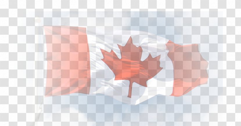 150th Anniversary Of Canada Flag Maple Leaf O - Petal Transparent PNG