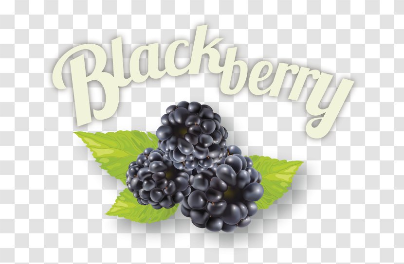 BlackBerry Superfood Jam Ingredient - Syrup - Blackberry Transparent PNG