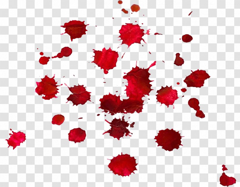 Blood Drop Red - Drops Of Transparent PNG