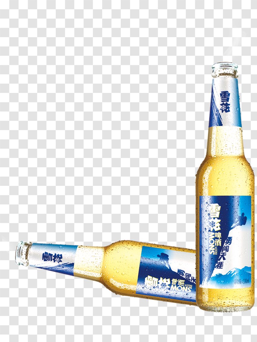 Beer Bottle Snow Transparent PNG