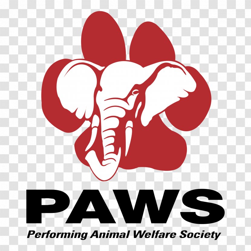 Performing Animal Welfare Society Bear Paw - Cartoon Transparent PNG