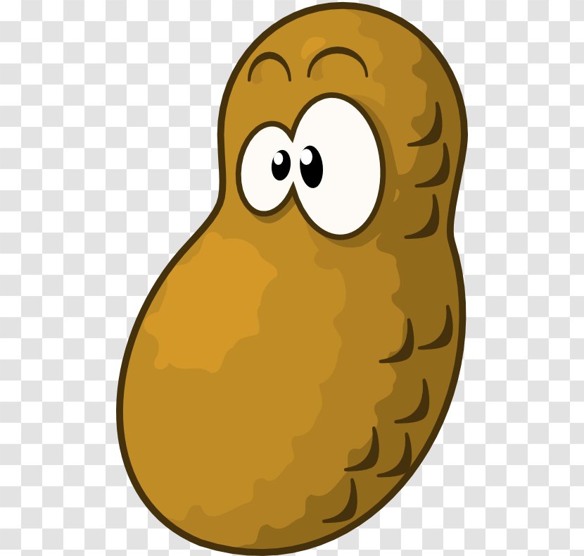 Peanut Clip Art - Nut - Peanuts Transparent PNG