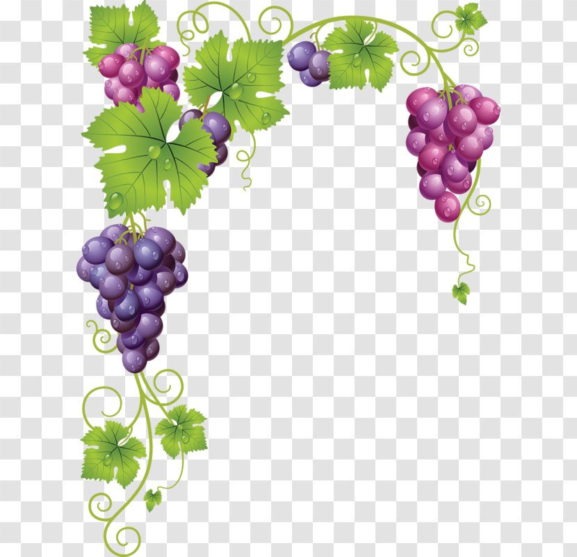 Common Grape Vine Wine Clip Art - Food Transparent PNG