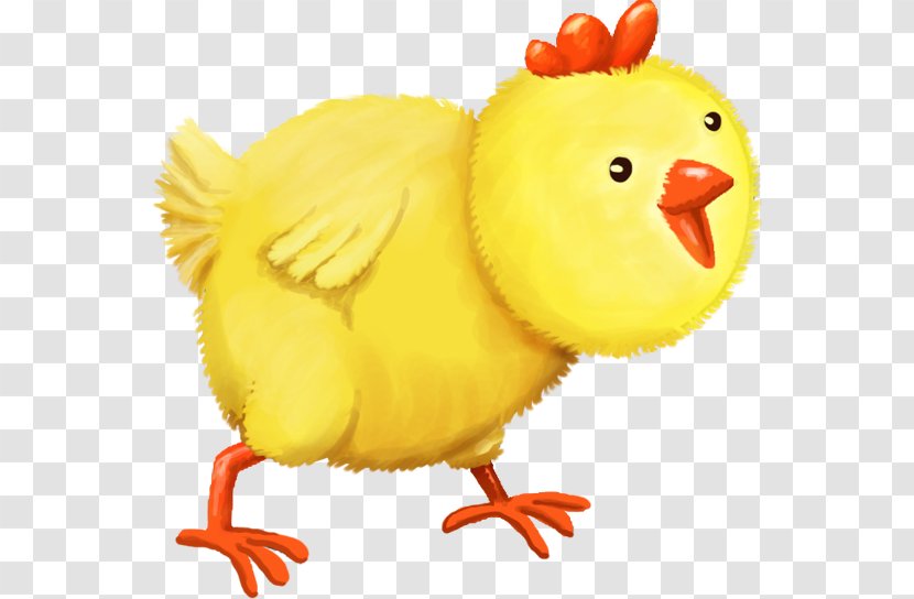 Rooster Clip Art Beak Chicken As Food Animal - Organism - Cute Cartoon Transparent PNG