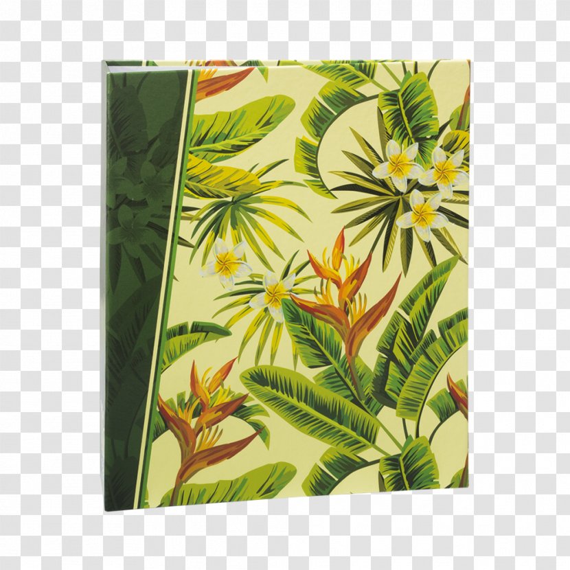 ICAL Photography Photo Albums Submarino - Plant - Tropical Transparent PNG