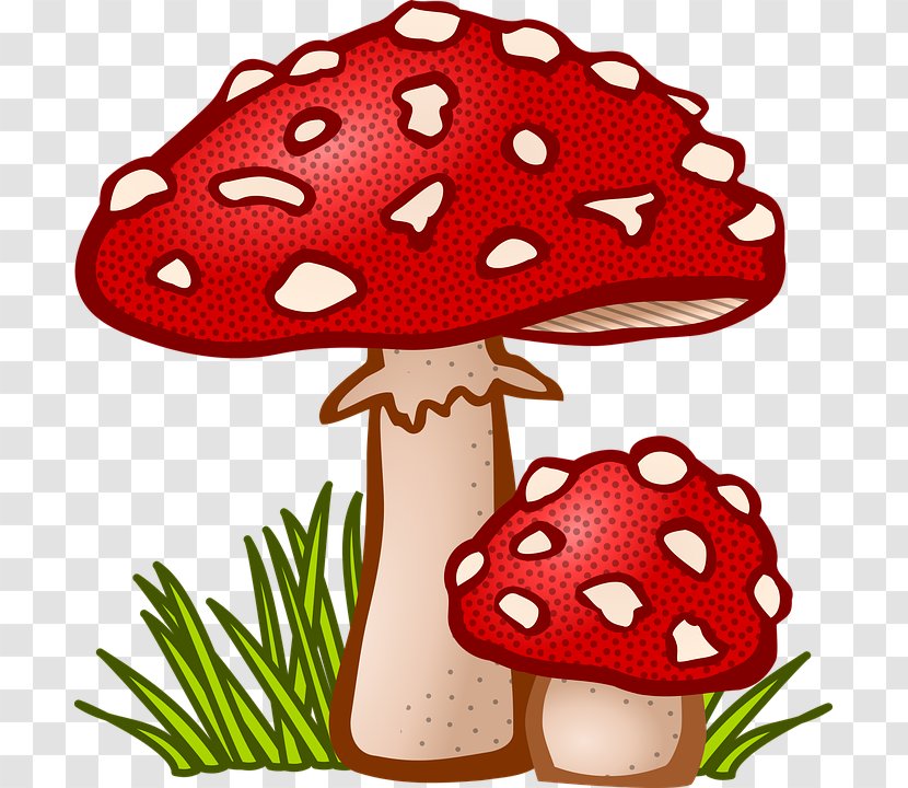 Mushroom Clip Art - Thumbnail Transparent PNG