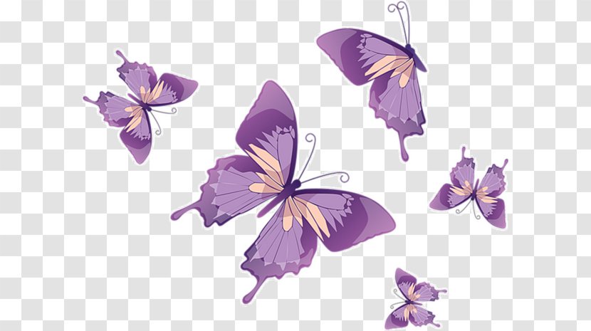 Butterfly Royalty-free Euclidean Vector Clip Art - Stock Photography - Floating Transparent PNG