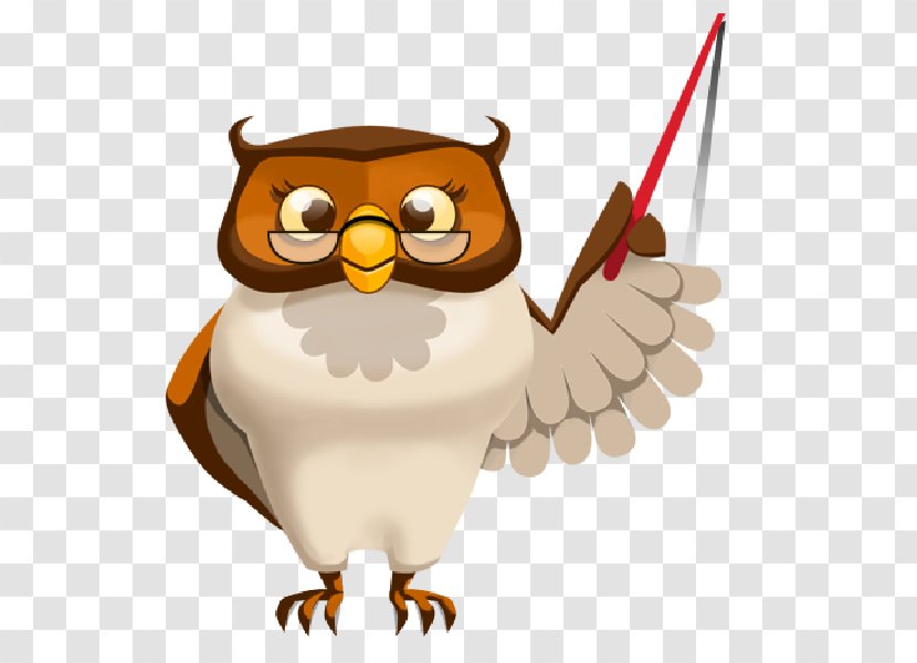 Owl Teacher Education School Clip Art - Cute Transparent PNG