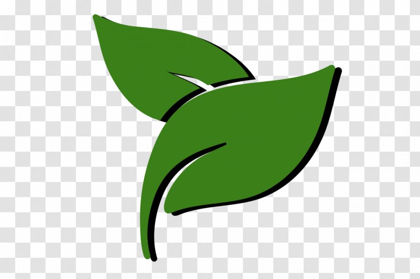Green Cleaning Service Agent - Leaf - Organism Transparent PNG