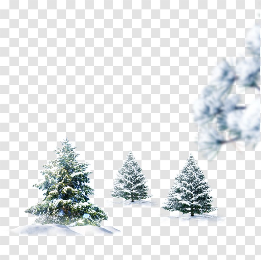 Snowman Christmas Winter - Snow Tree Transparent PNG