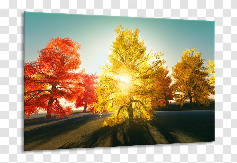 Painting Autumn Color Schilderij 3 Stock Photography Transparent PNG