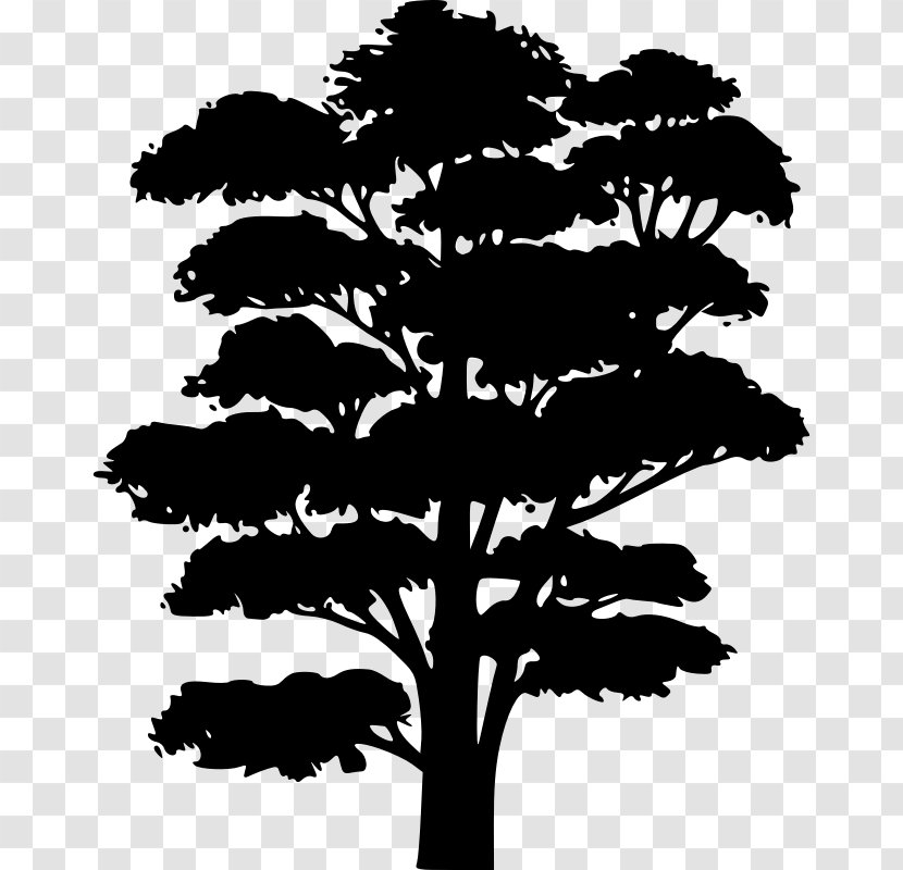 Clip Art Silhouette Tree Branch Oak - Plants - Clipart Transparent PNG