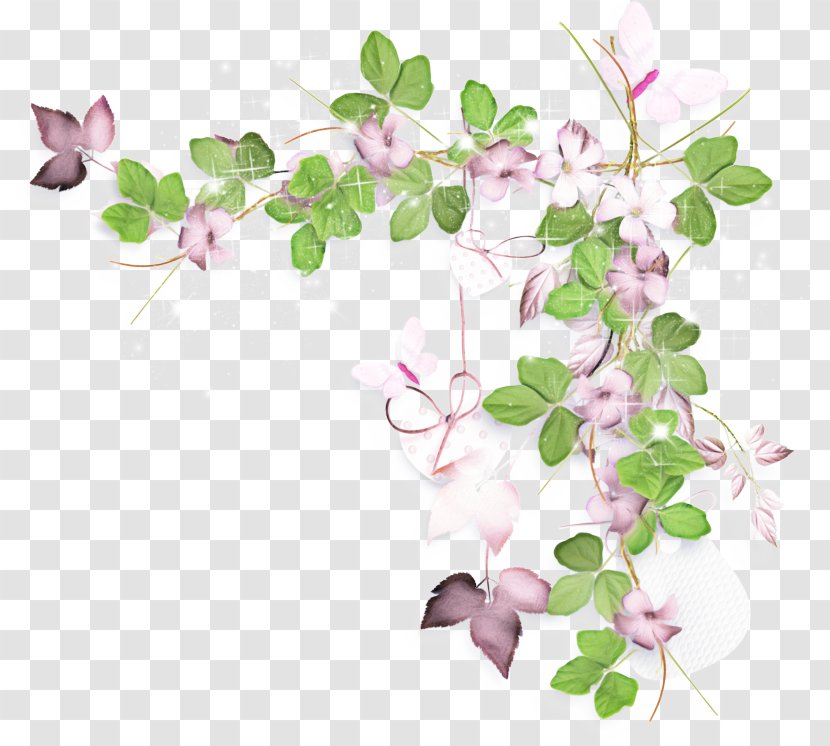 Floral Flower Background - Seed Bead - Plant Branch Transparent PNG