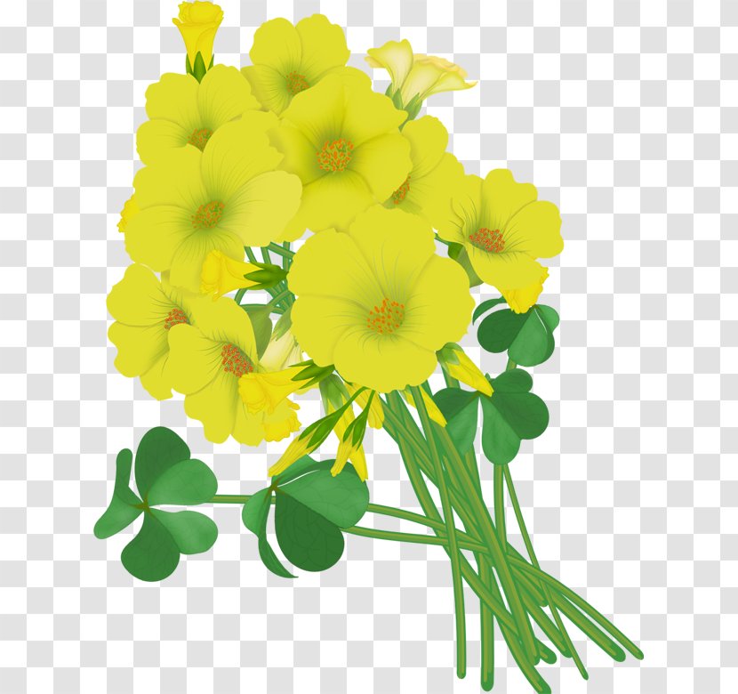 Floral Design Wildflower Drawing Vector Graphics - Plant - Flower Transparent PNG