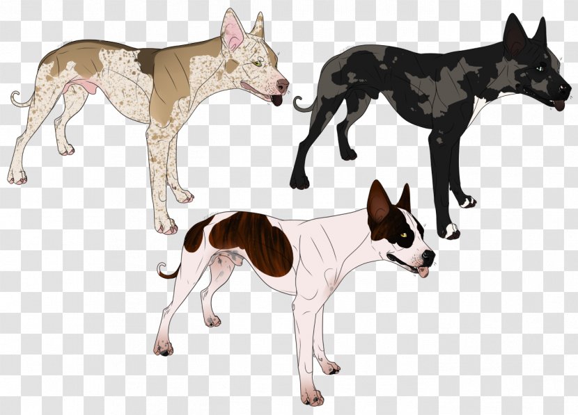 Dog Breed Canidae Carnivora Animal - Tail - Bulldog Transparent PNG