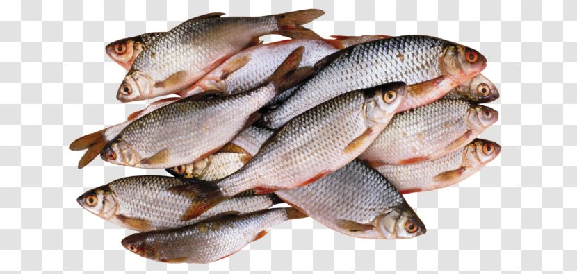 Fish Food Clip Art Transparent PNG