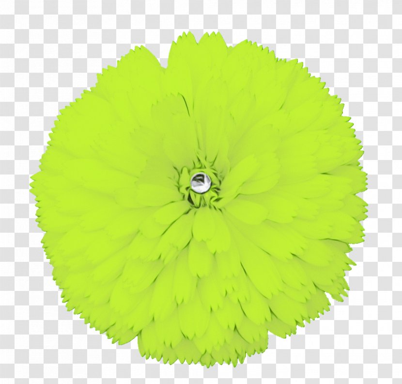 Clip Art Image Free Content JPEG - Flower - Teal Transparent PNG
