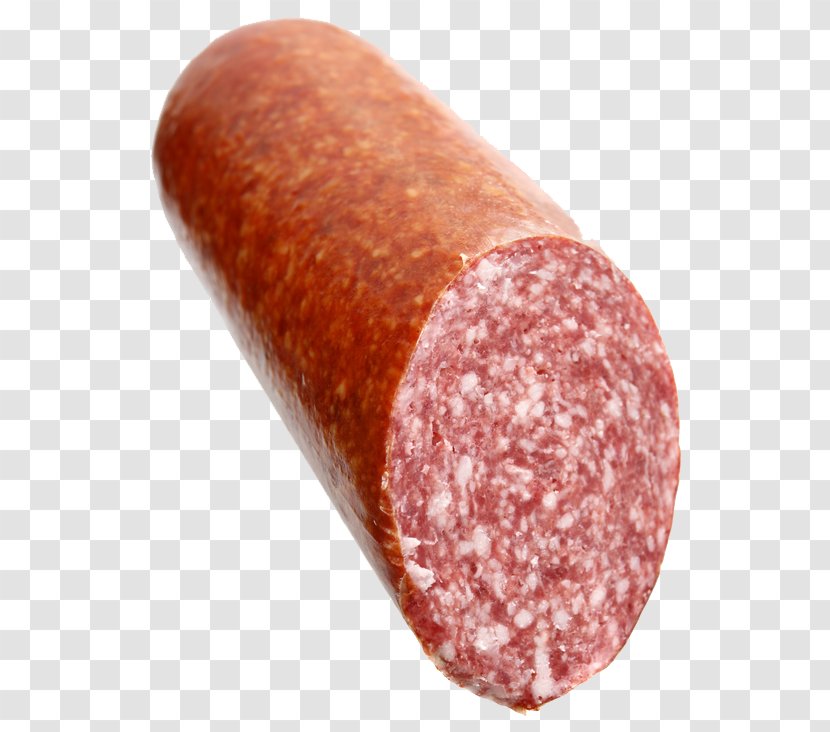 Rookworst Salami Sausage Casing Ribs - Silhouette Transparent PNG