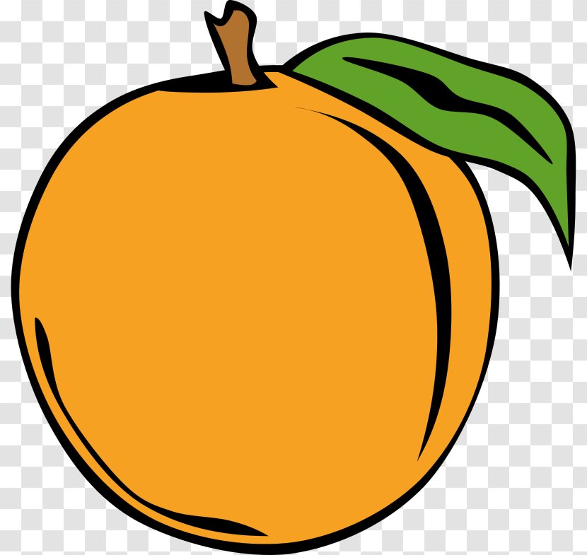 Peach Clip Art - Artwork Transparent PNG