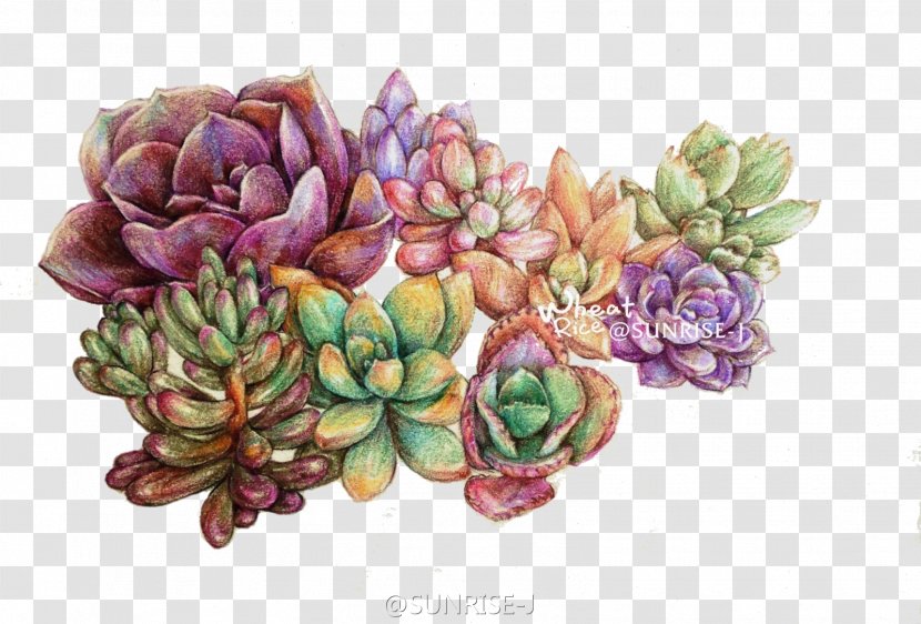 Succulent Plant Colored Pencil Watercolor Painting Leaf Transparent PNG