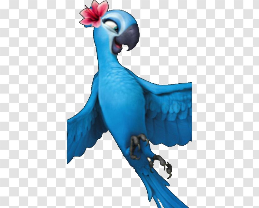 Macaw Feather Parakeet Beak Julia - Wing - Rio Jewel Transparent PNG