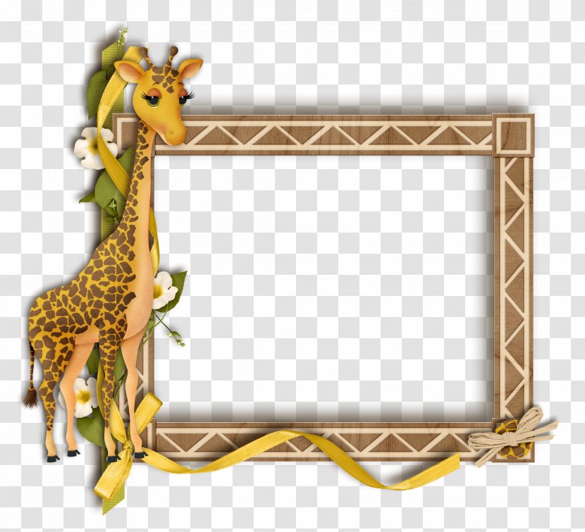 Giraffe Photography Picture Frames - Wildlife - Gif Transparent PNG