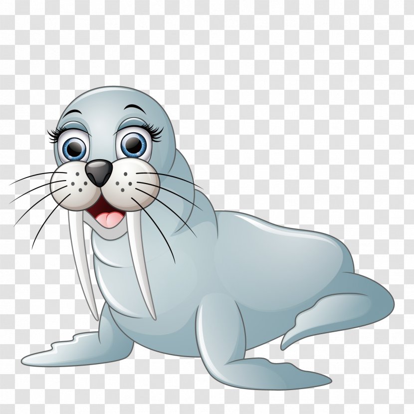 Walrus Cartoon Illustration - Marine Mammal - Big Eyes Sea Lions Transparent PNG