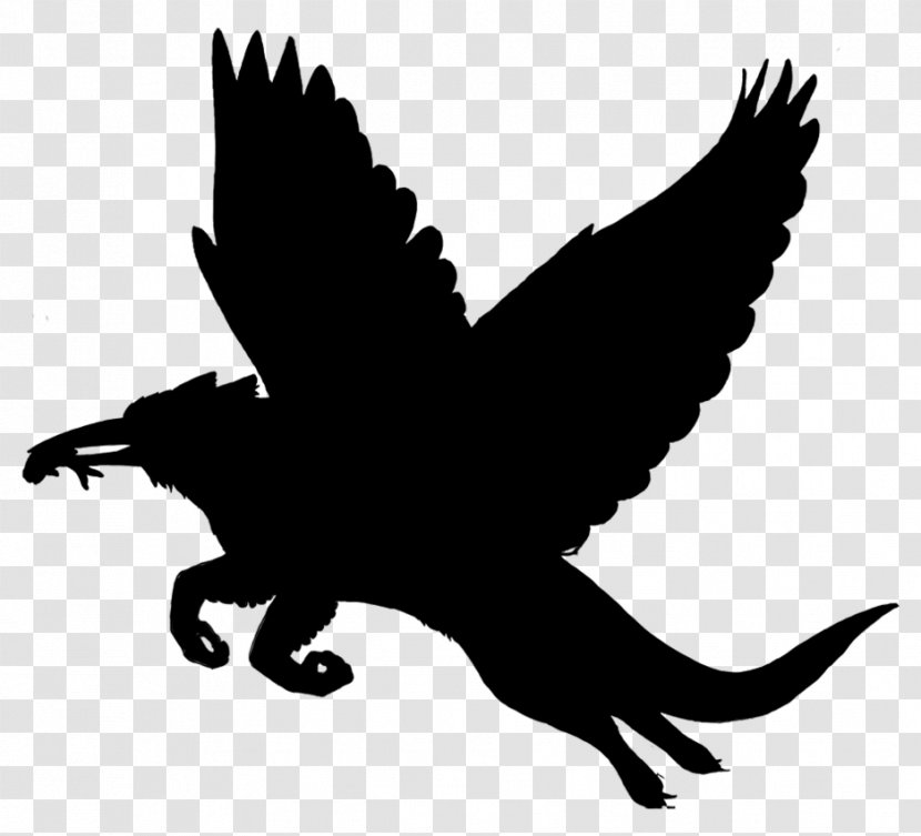 Beak Bird Of Prey Clip Art Fauna - Wing - Logo Transparent PNG