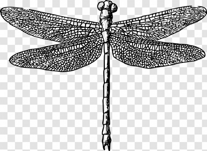 Paper Dragonfly Printing Clip Art - Tree - Dragon Fly Transparent PNG