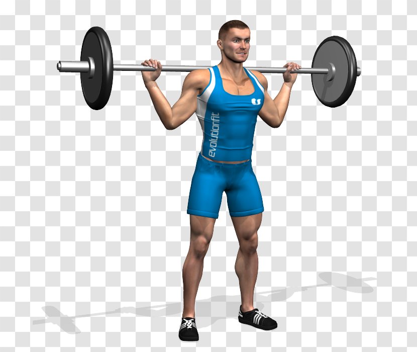 Barbell Dumbbell Bench Weight Training Squat - Flower Transparent PNG